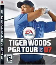 TIGER WOODS P