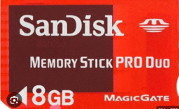 SANDISK MEMOR